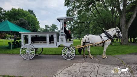  Our horse drawn funeral coach during a funeral