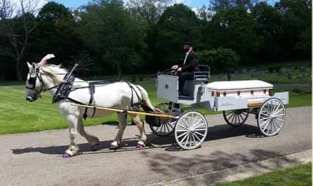  Our horse drawn caisson hearse during a funeral outside of Pittsburgh, PA