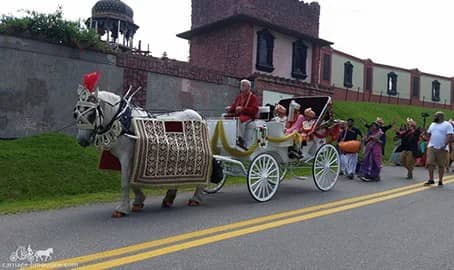 Indian Baraat horse during the procession near Moundsville, WV