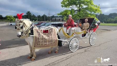 Baraat Wedding Carriage during an ceremony in Richfield, Ohio