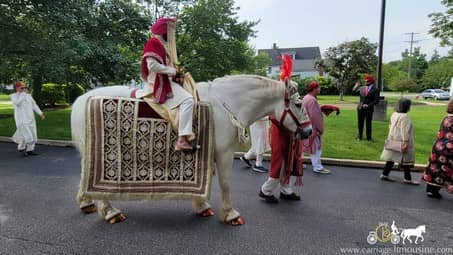 Indian Wedding Horse during a Baraat in Bedford, OH