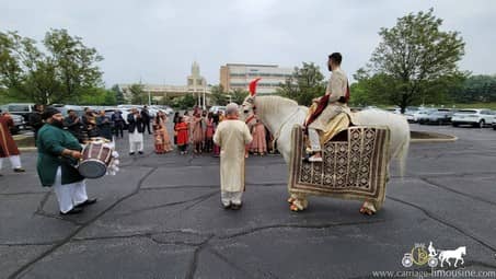 Indian Baraat Horse during the Baraat in Westlake, OH