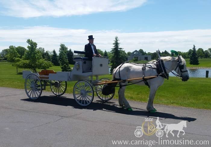 Our one of a kind Horse Drawn Caisson Hearse before a funeral outside of Cleveland, OH