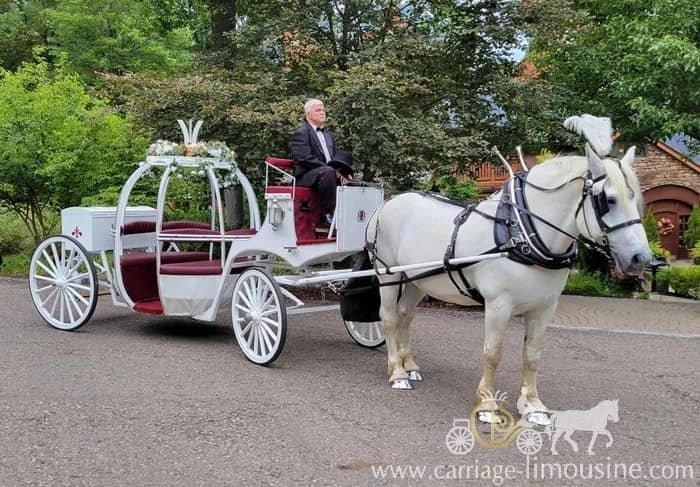 Our one of a kind Cinderella Carriage during a wedding