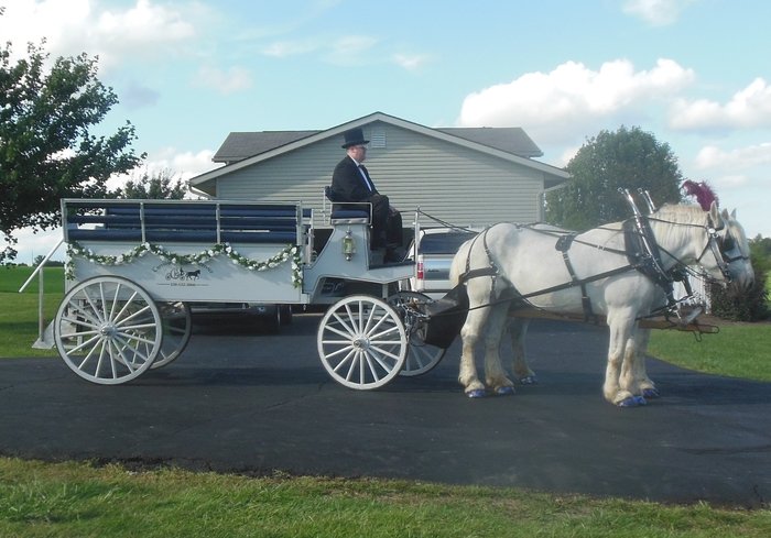 Our one of a kind horse drawn Limousine Carriage after a wedding right on lake Erie in downtown Cleveland, OH