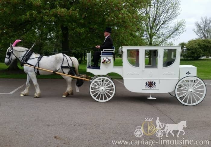 Our one of a kind Royal Coach