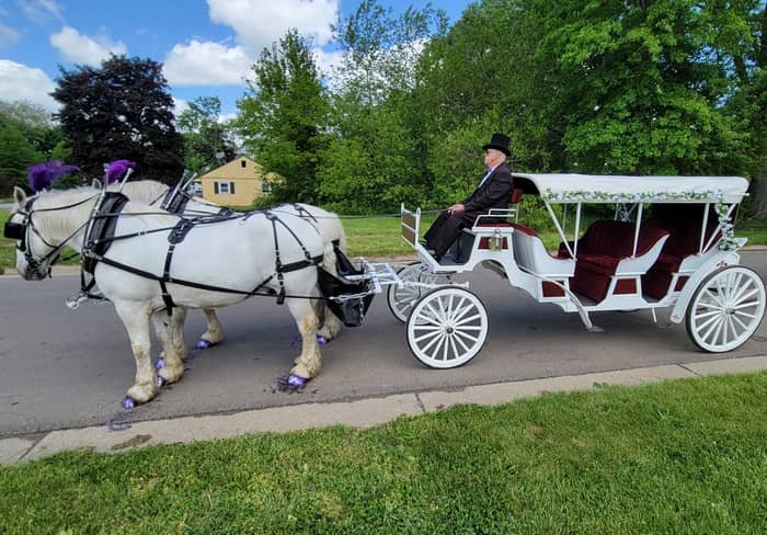 Our Stretch Victorian Carriage during a wedding in Sewickley, PA