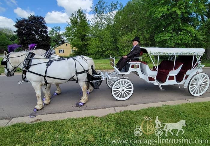 Our Stretch Victorian Carriage during a wedding in Sewickley, PA