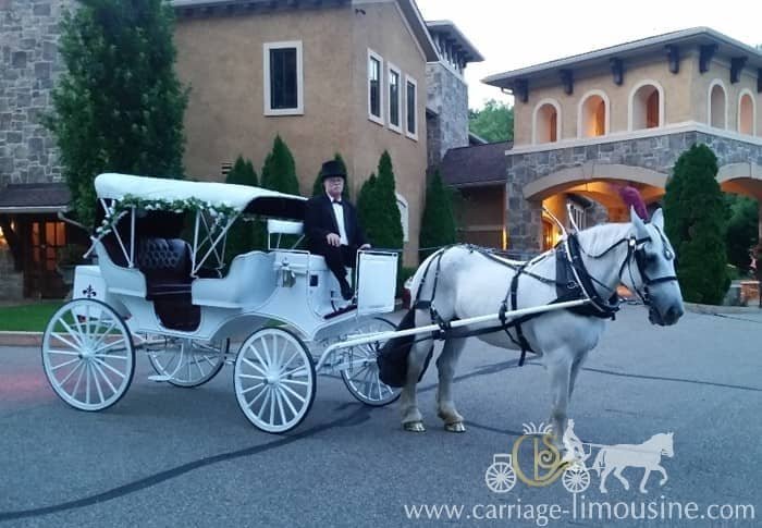 Our Victorian/Vis-a-vis Carriage at a wedding in Ohio