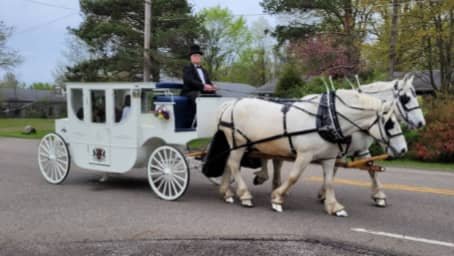 Our beautiful Royal Coach going to a prom outside of Canton in Sebring, OH