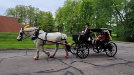 Our Princess Carriage on the way to prom outside of Youngstown near Austintown, OH