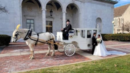 Our one of a kind Royal Coach after a wedding in downtown Youngstown, OH