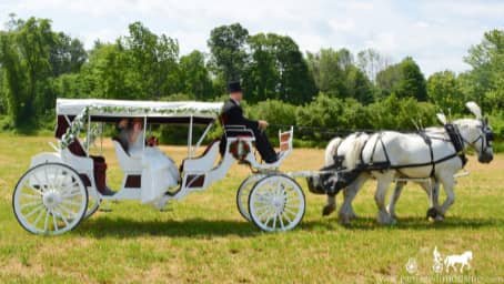 Our Stretch Victorian Carriage after a wedding outside of Youngstown, in Rootstown, OH