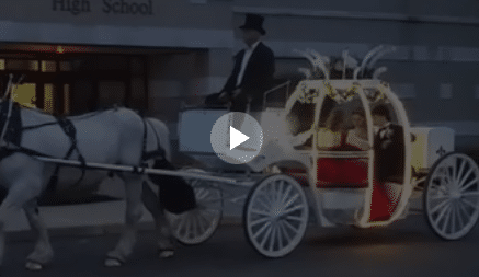 Carriage Limousine Service-powozy konne: nasz Kopciuszek Carriage dając przejażdżki podczas balu w Wellsville, OH