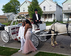 Carriage Limousine Service-Carrozze trainate da cavalli: Il nostro uno di un tipo di Carrozza di Cenerentola al Ballo in Farrell PA