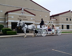 at give rides under prom i Brøndsville, OH