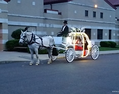 Dando passeios durante o baile em Wellsville, OH