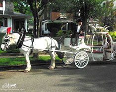 La coppia in posa con la nostra Cenerentola Carrozza al loro Ballo di fine anno al di fuori di Cleveland, OH