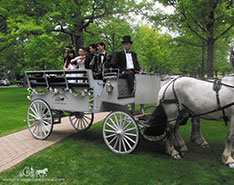 Le coppie in posa nella nostra carrozza limousine prima di andare al ballo di fine anno a Hudson, OH