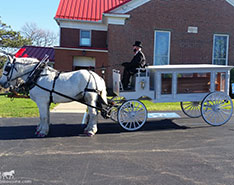 funeral carriage horse drawn coach limousine hearse caisson go click