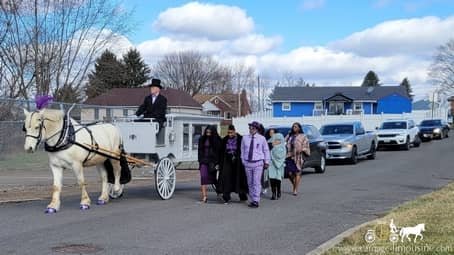  Our horse drawn funeral coach at a funeral near Akron, OH