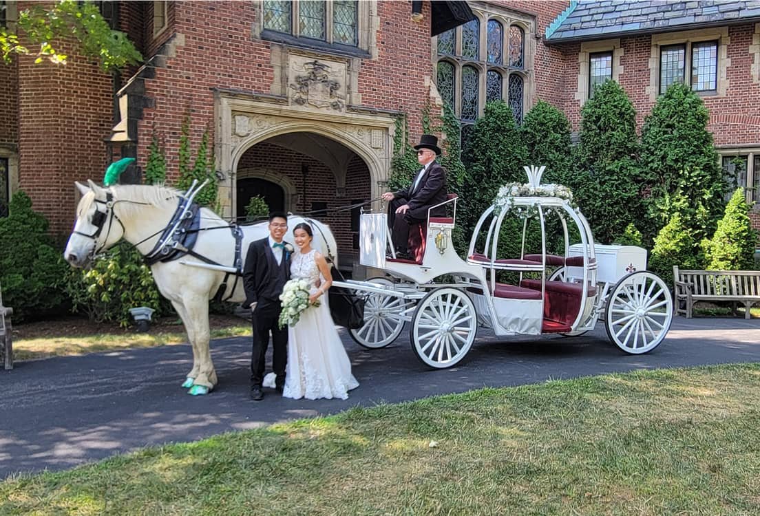 Horse Drawn Cinderella Carriage