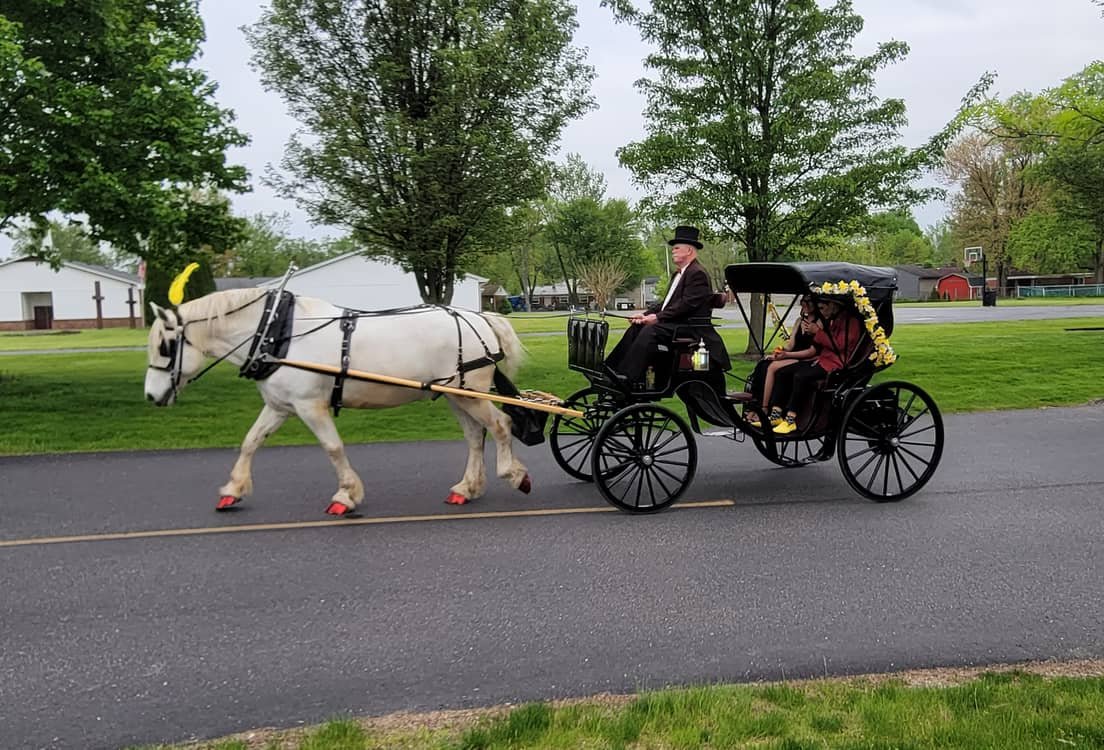 Horse Drawn Princess Carriage