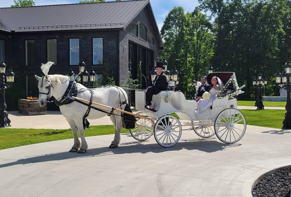 Horse Drawn Victorian Carriage