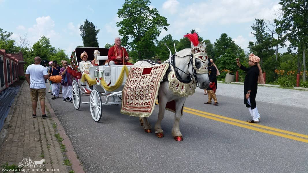 Indian Baraat Carriage for a Indian wedding at the Palace of Gold near Moundsville, WV