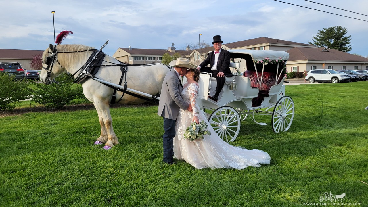 Carriage Limousine Service, Horse Drawn Carriages