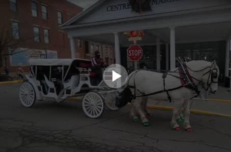 Horse-drawn carriage at a holiday event video by Carriage Limousine Service