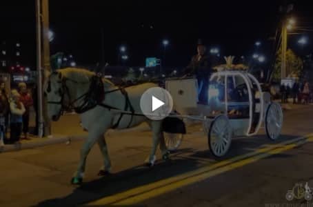 Horse-drawn carriage parade video by Carriage Limousine Service