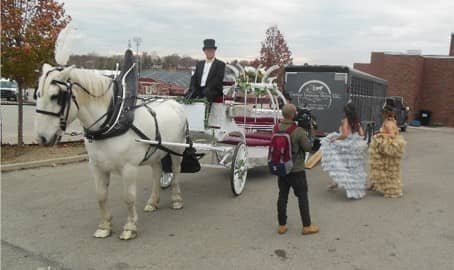 Our one of a kind Cinderella Carriage while filming for TLC's show My Big Fat American Gypsy Wedding in Uniontown, PA