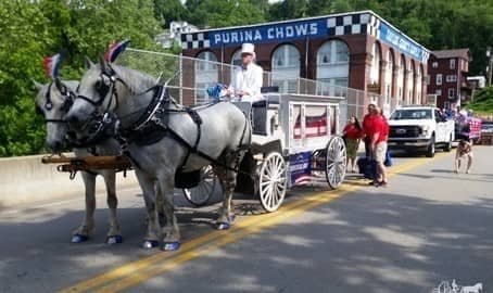 Our hand made Funeral Coach in a Veterans Day Parade in Clarksburg, WV