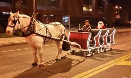 Our one of a kind horse drawn Sleigh before a parade in Youngstown, OH