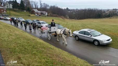 Percheron horses pulling the Caisson Hearse at a funeral in West Mifflin, PA