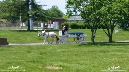 Caisson Hearse on the road during a funeral procession in Brook Park, OH