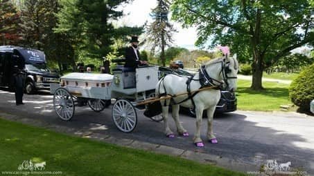Front view of the horse-drawn Caisson Hearse at a funeral in Akron, OH