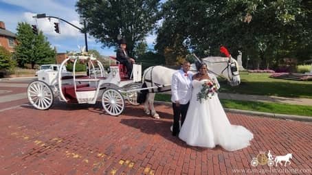 Newlywed couple with the Cinderella Carriage after their wedding ceremony in Bedford Heights, OH