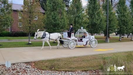 Couple returning from their Cinderella Carriage ride near Warren, OH