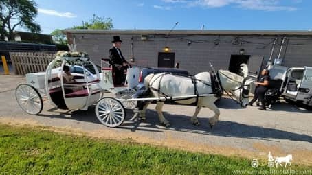 One her way to a family gathering before prom in our Cinderella Carriage near Euclid, OH