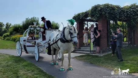 The bride and groom ready to ride off in our Cinderella Carriage in Akron, OH