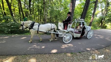 Bride and groom take ride in Cinderella Carriage after ceremony in Akron, OH