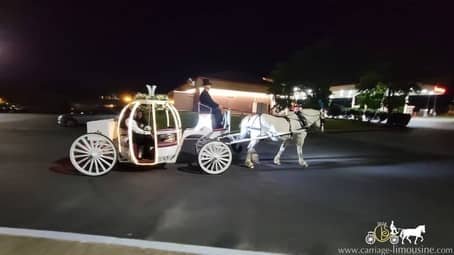 The bride and groom heading off in the Cinderella Carriage to their hotel after the reception in Youngstown, OH