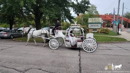 The bride and groom ride in our Cinderella Carriage in Youngstown, OH