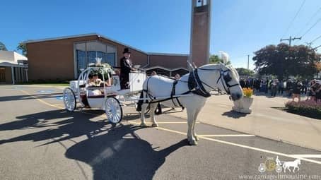 The bride and groom  ready to go for a ride after their ceremony near Youngstown, OH