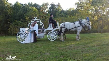 Cinderella Carriage waiting after a ceremony in Adamsville, PA
