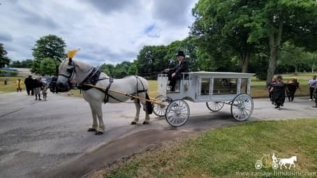 Horse-drawn Funeral Coach at Glen Dale Cemetery in Akron, OH