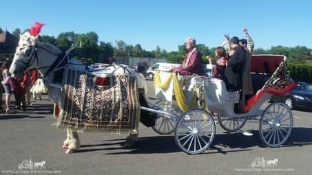 Indian Wedding Horse and Carriage during a Baraat near Cleveland, OH