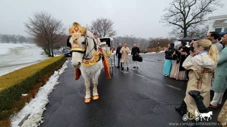 Our Indian Carriage during a wedding procession in Sewickley, PA